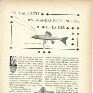 Die Bewohner der großen Tiefen des Meeres - Artikel Presseschnitt 1905 - Bild 1 von 4
