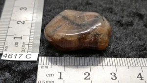 CHIASTOLITH ANDALUSIT - Natur Rollstein - Mineralien Lithotherapie Reiki - Bild 1 von 3