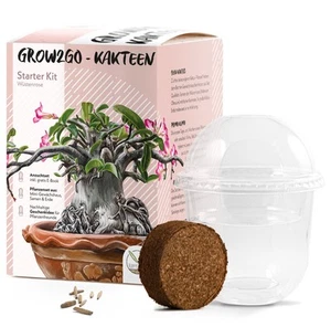 GROW2GO Anzuchtset - Pflanzset aus Mini-Gewächshaus, Erde & Wüstenrose-Samen - Bild 1 von 7
