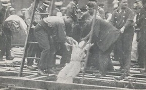 3 - Eastland Steamer Unfall Postkarten - Chicago, Illinois - unbespielt RPPC - Bild 1 von 9