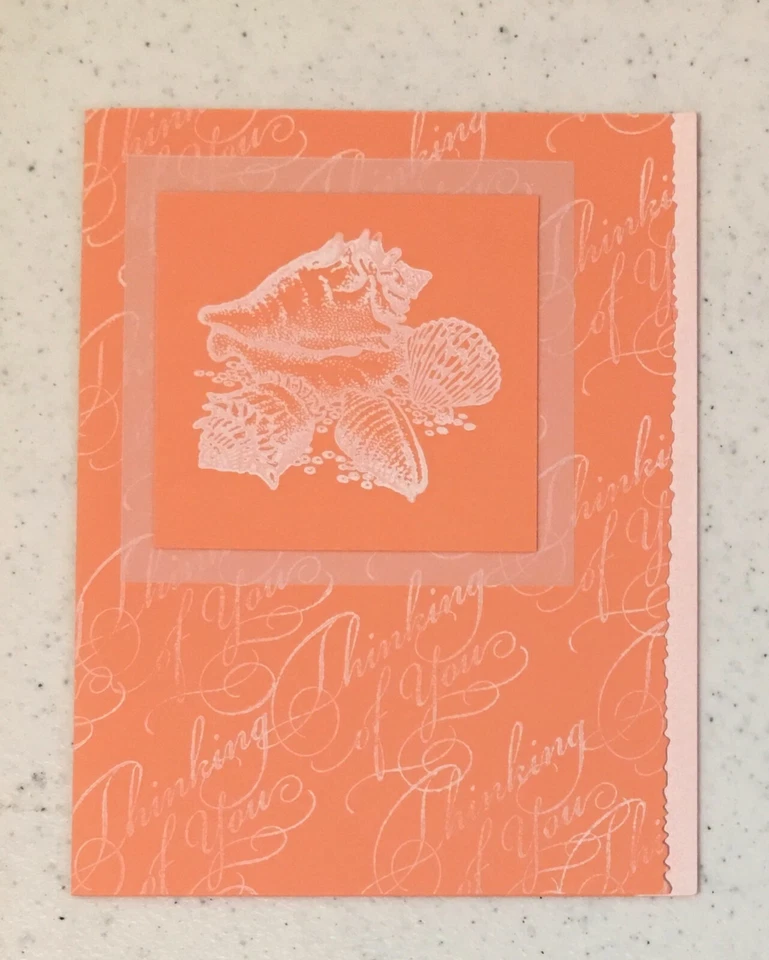 Sea Shells Thinking Of You Handmade Card Blank Inside W Envelope CandD - Image 1 of 2