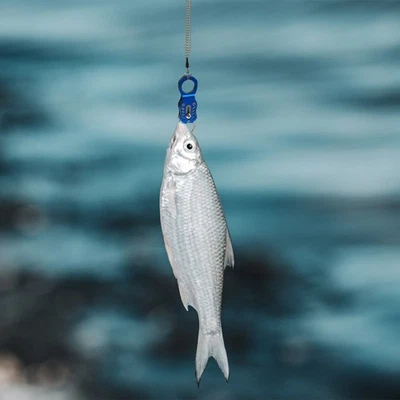 1 stück Multifunktionsfischregler Greifer Angeln Lippengriffe Angelvorräte - Bild 1 von 4