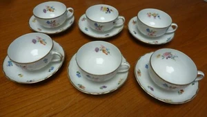 6 Teetassen mit 6 Untertassen Hutschenreuther Dresden Moritzburg - Bild 1 von 4