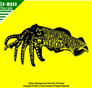 Cuttlefish Sea Life Salt Water Marine Aquatic Ocean Design Die Cut Vinyl Decal - Picture 1 of 20