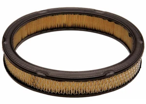 AC DELCO AIR FILTER 79-83 MONZA STARFIRE SUNBIRD CITATION SKYLARK OMEGA... - Picture 1 of 1