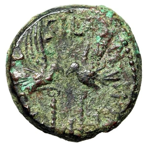 Augusto AE19 de Beritos "Dos Aquilas" Legado de Silano Muy Raro - Imagen 1 de 5