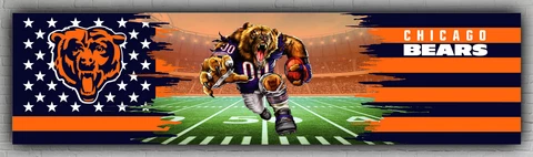Chicago Bears Football Team Mascot Banner 60x240cm 2x8ft Fan Best Flag Cover