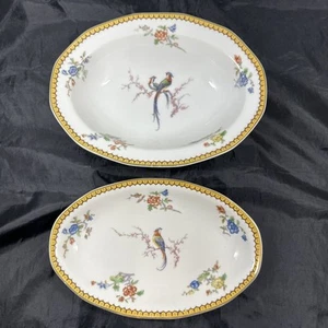 Lot Of 2 Theodore Haviland Limoges Serving Bowl And Plate EDEN Bird of Paradise - Picture 1 of 24