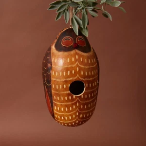 Owl Gourd Bird House - Picture 1 of 8