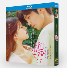 2023 Chinese Drama Hidden Love BluRay/DVD All Region English Subs