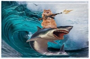 Funny Cat Wave Mat Soft Foam for Bath Indoor Absorbent Kitchen Rugs Washable - Picture 1 of 8