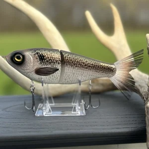 Big Belly Shad 7" Glide bait - Custom Painted - 2.6 oz Slow Sinking Swim Bait - Picture 1 of 5