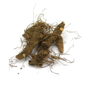 Organic Pure Bloodroot - Whole Dried Root - Picture 1 of 11