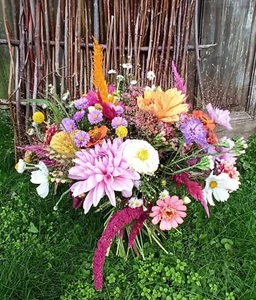 WILDFLOWER MIX-500 SEEDS-25 VARIETIES-COLOURFUL-EASY GROW-COTTAGE GARDEN PLANTS - Picture 1 of 18