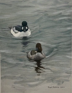 Robert Bateman Goldeneye Pair Signed And Numbered With Certificate - Picture 1 of 4