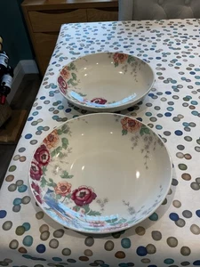 DENBY MONSOON KYOTO 2 X PASTA BOWLS FINE CHINA TABLEWARE LOT B - Picture 1 of 14