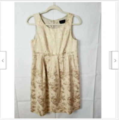 Max & Cleo Women's Fit & Flare Dress Casual Gold Metallic Floral Sleeveless 8 Foto 1 de 4