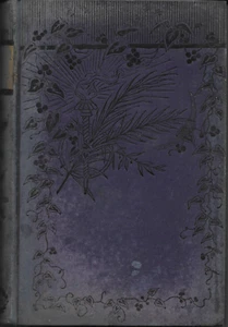 Lover or Friend by Rosa Nouchette Carey @1896 - Vintage Romance Novel - Bild 1 von 2