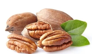 Bio rohe ganze Pekannuss mit Schale - Bild 1 von 7