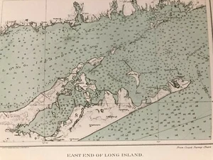 VENDITA! ORIGINALE ANTICA 1893 mappa litografata a colori East End LUNGA ISOLA NEW YORK - Foto 1 di 3