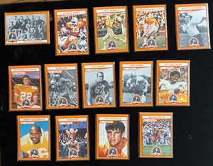 100 Years of Volunteers trading cards, set of 14 cards - Picture 1 of 16