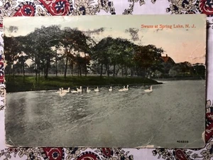 Swans at Spring Lake, Nueva Jersey - Imagen 1 de 2