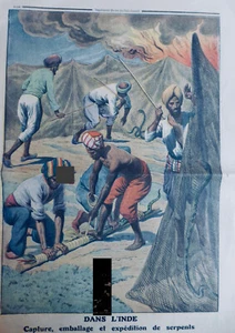 1867 1947 SERPENT ELEVAGE BOA COBRA VIPERE COULEUVRE 21 JOURNAUX ANCIENS - Bild 1 von 21