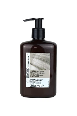 SB FRESH UP Super Brillant Fresh Up Cold Platinum 250ml direktziehender Farb-Conditioner