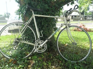 1994 Giant Perigee vintage chrome moly 10 speed racer bike - Picture 1 of 8