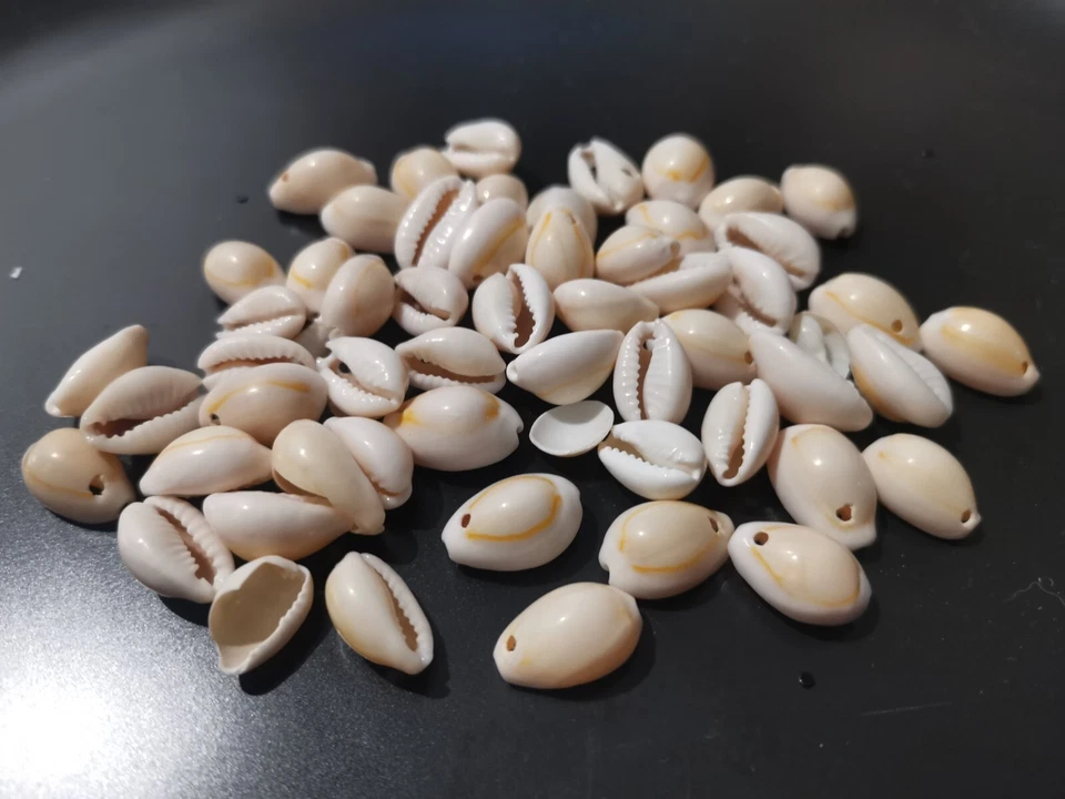 150pcs Natural Sea Shell Beads Cowry Cowrie Assorted 10mm - 16mm Beige Tone - Image 1 of 1