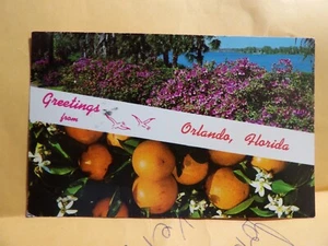 Vintage Postcard FLORIDA 1968 Orlando, Greetings Orange & Flowers - Picture 1 of 3