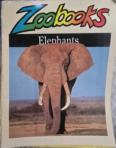 Kids 1989 Zoobooks 21 Magazines & 1 National Geographic Magazine - Picture 1 of 23