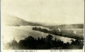 RPPC View at Whaley Lake Holmes New York Real Photo Postcard W.C. Wood - Picture 1 of 4