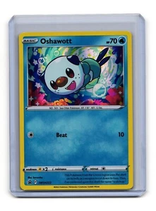Oshawott SWSH222 Pokemon Promo Card - Foto 1 di 2