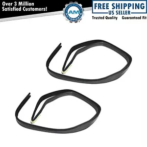Glass Run Channel Front Door Weatherstrip Seal Pair Set of 2 for Chevy GMC New - Picture 1 of 5