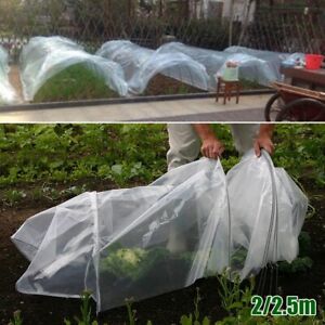 Low Density Polyethylene Greenhouse Film for Prolonged Plant Protection