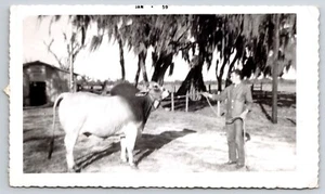 1959 Kuh Bauernhof Haus Foto Fotografie Bild Vintage Geschichte schwarz weiß - Bild 1 von 2