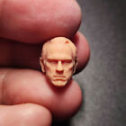 1/24 Scale Man In Black Tommy Lee Jones Head Sculpt Unpainted Fit 2.5" Figure