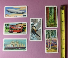 6 Assorted 1960s Brooke Bond Tea Transportation Nature RED ROSE BLUE RIBBON