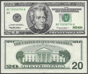 1999 US $20 Twenty Dollar Bill 'Monochrome' Note (Richmond Federal Reserve) - Picture 1 of 7