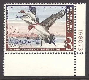 RW29 XF MNH OG Plate# SINGLE-GEM 1962 DUCK STAMP (REM RW29-919) - Picture 1 of 1