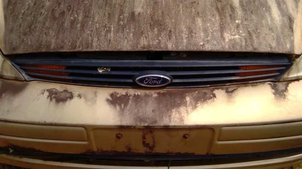 Cubierta inferior de rejilla montada excluyendo SVT para Ford Focus 00-04 OEM Foto 1 de 4