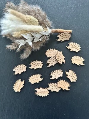 25 Streudeko Holz Tischdeko Deko Bastel Zubehör Streuteile Igel Herbst Deko - Bild 1 von 3