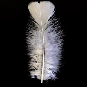 Flat Top Marabou Feather Pack 10 grams - White - Bild 1 von 1