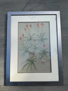 VINTAGE GERAHMTE BOTANISCHE KUNST PASTELLZEICHNUNG ALOE BLÜHENDE PFLANZEN SIGNIERT - Bild 1 von 10
