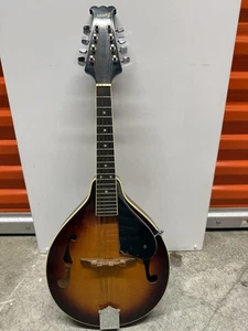 Alvarez A100 | Mandolino modello A numero di serie 111713 - Foto 1 di 4