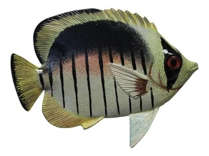 Big 12 Inch Tropical Fish Bath Beach House Childrens Wall Decor 12TFW58 - Imagen 1 de 1