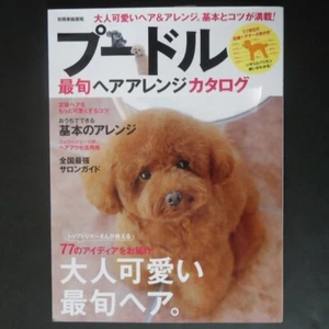 Catálogo de arreglos de corte estilo pelo perro caniche aseo - Imagen 1 de 12