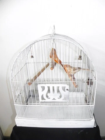 Antique Art Deco Metal Hendryx Bird Cage Glass Water Feeder & 2 Feather Birds Cover