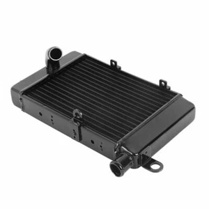 Radiator Engine Grille Fits For Aprilia Mille RS-V1000 Tuono 2002-2005 2003 - Picture 1 of 12